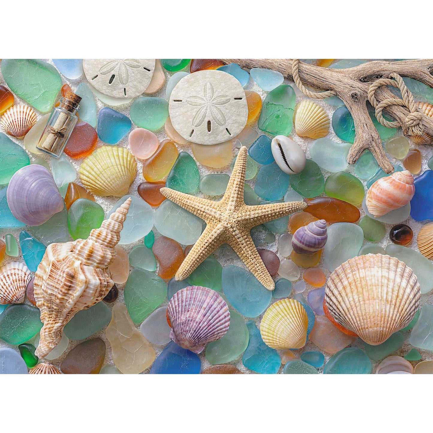 No. 29 - Washed Ashore