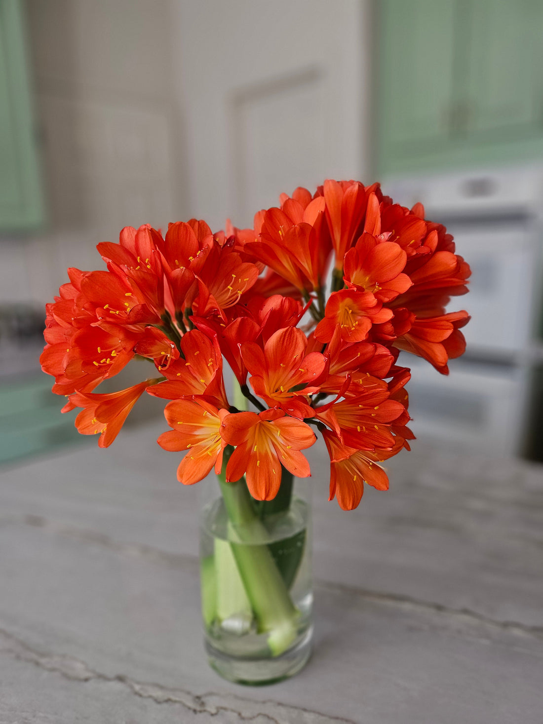 The Art of Slow Living: How to Create a More Intentional, Grounded Life