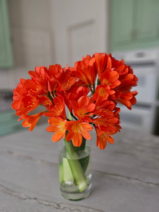 The Art of Slow Living: How to Create a More Intentional, Grounded Life