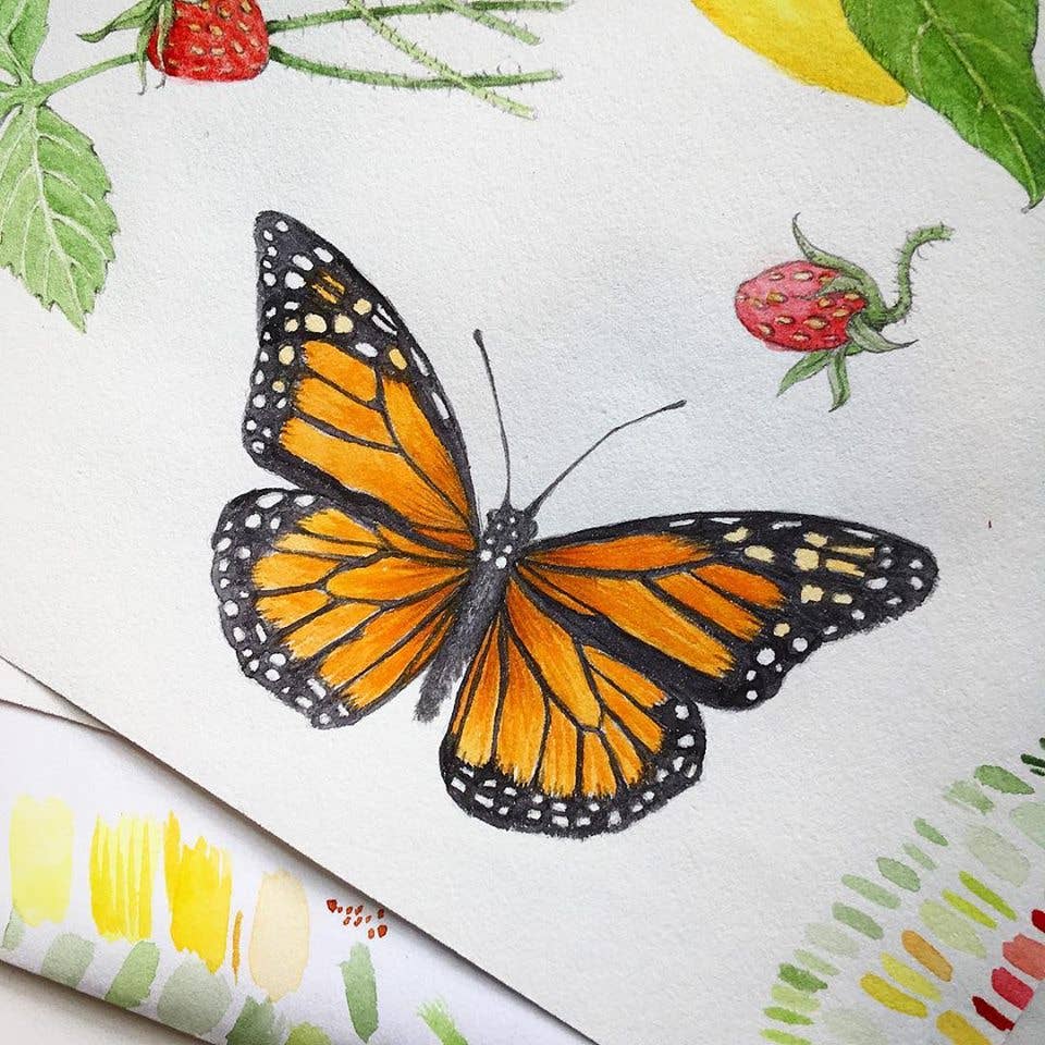 Garden Sprinkles Butterfly Habitat — Summer Flower Garden Seed Tin