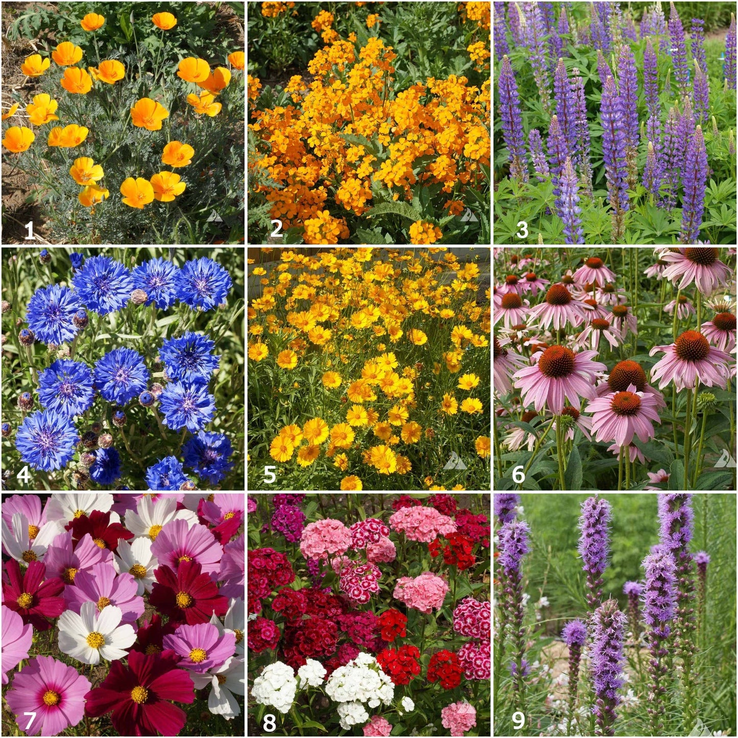 Garden Sprinkles Butterfly Habitat — Summer Flower Garden Seed Tin