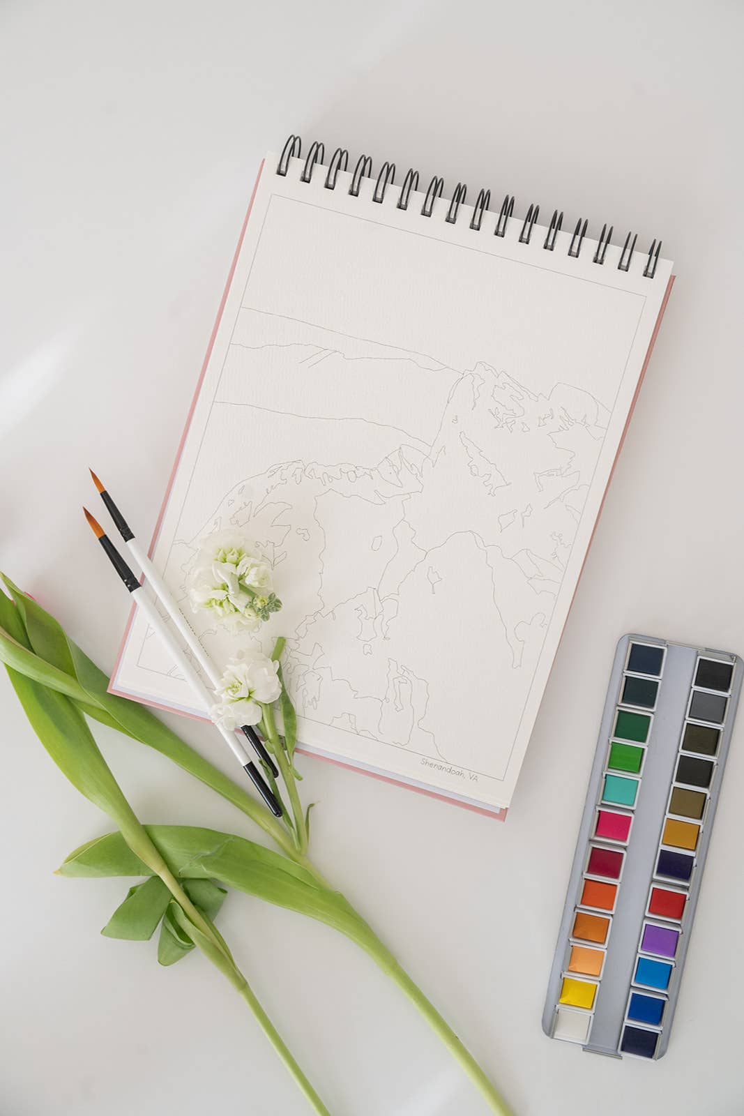Grounded Living Artist Watercolor Ritual Starter Box
