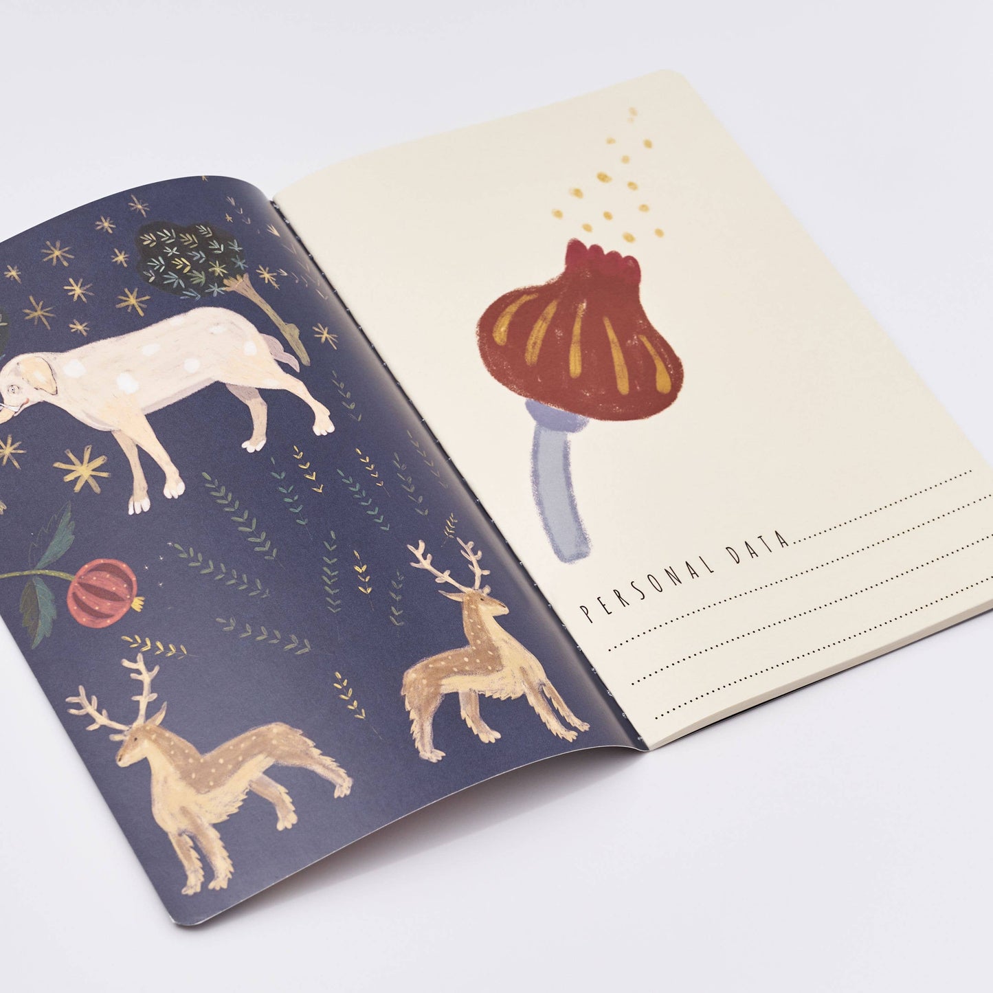 Fairytale Journaling Notebook