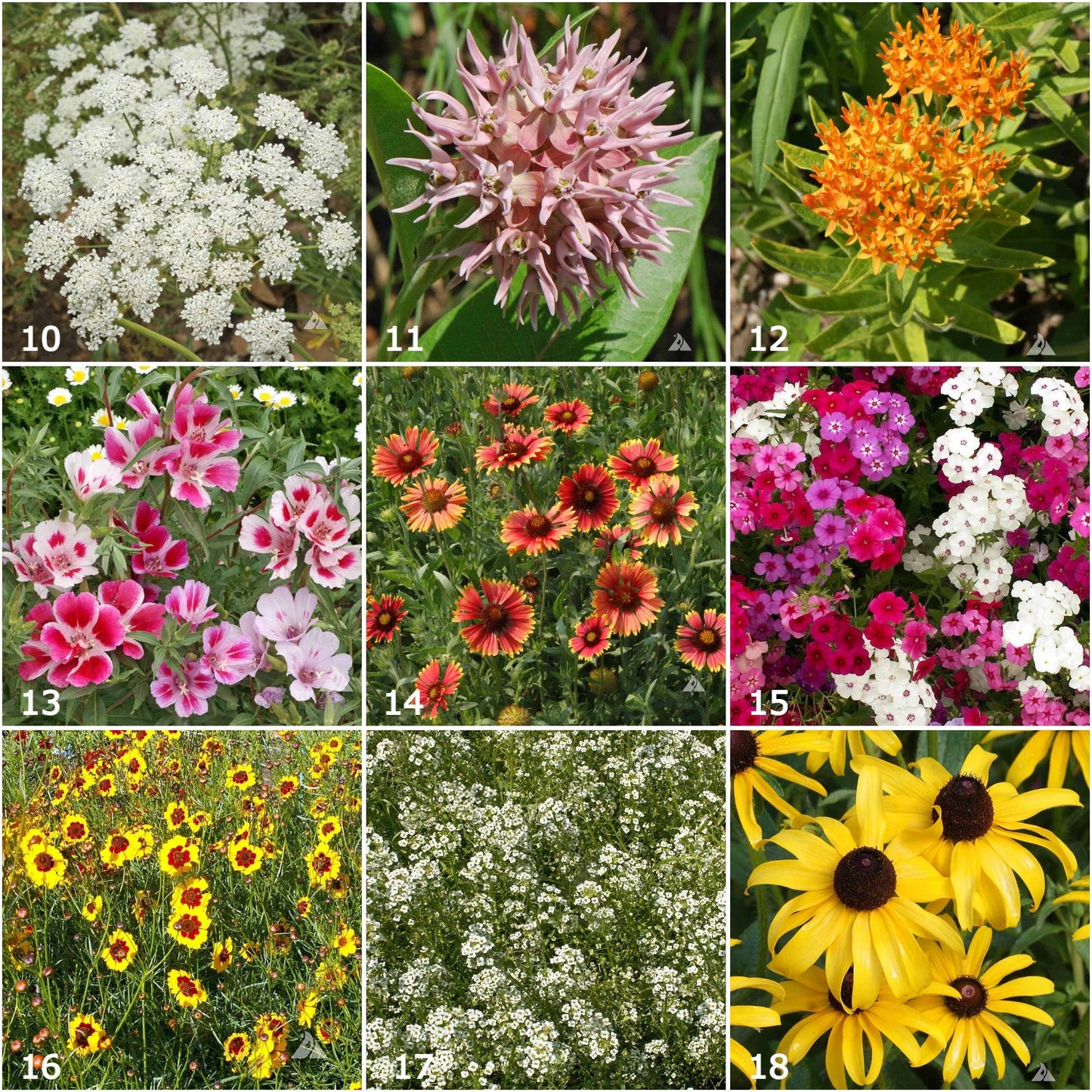 Garden Sprinkles Butterfly Habitat — Summer Flower Garden Seed Tin