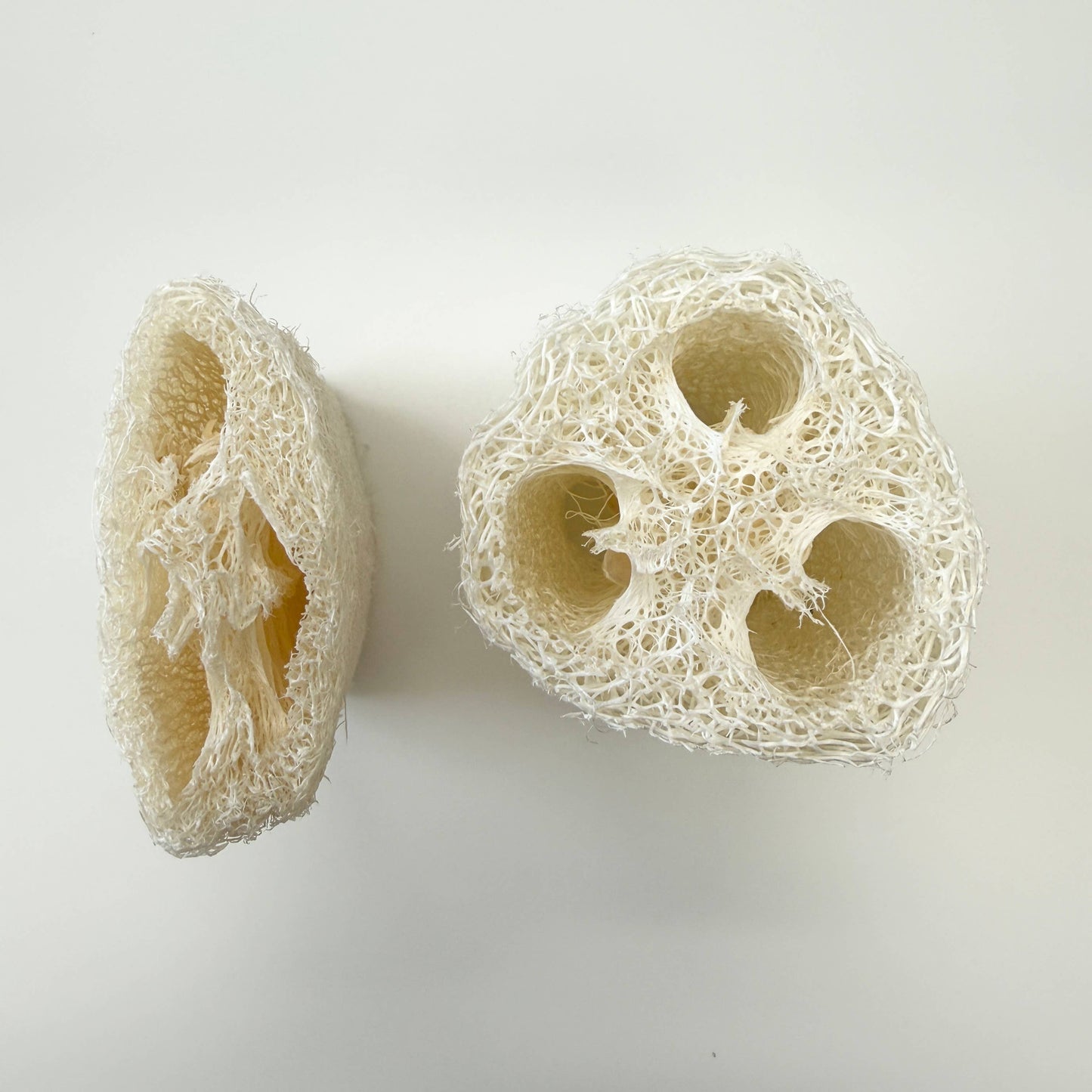 Natural Loofah Sponge